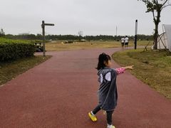 -春花秋色城市公园