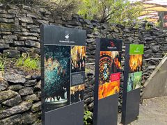 -怀托摩萤火虫洞