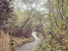 -大罗山风景区