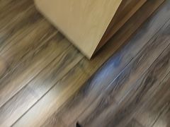-清真文铁家烧麦馆