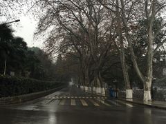 -武汉大学-桂园餐厅
