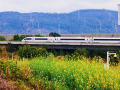 -光明小镇欢乐田园
