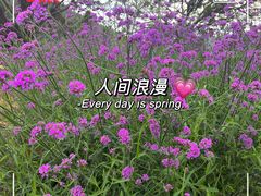 -南沙蒲洲花园