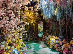 -正佳雨林生态植物园