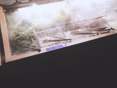 -火炉火自助餐(悠唐购物中心店)