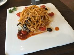 -百好乐宠物友好餐厅(朝外大街店)