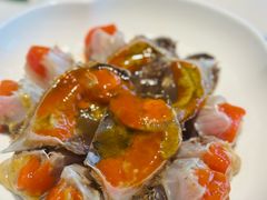 冰淇淋蟹-高佳庄·舟山海鲜(海景旗舰店)