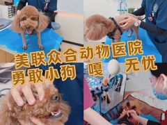 -美联众合动物医院·24h京西诊疗中心