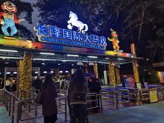 -广州长隆国际大马戏