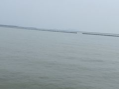 -合肥滨湖国家森林公园