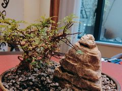 -翁暖茶馆(滨江东总店)