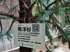 -呀路古热带植物园