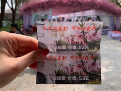 -南汇桃花村