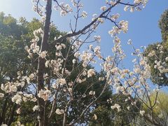 -重元寺香积厨素斋馆