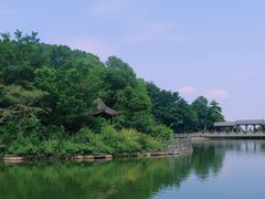 -广州市帽峰山景区