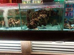 -阿伟海鲜楼·福建菜(延寿店)