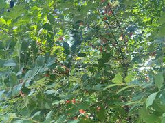 -沈阳辉山风景区