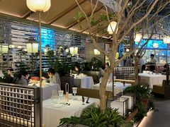 -桂满陇·海市蜃楼·黑金(国金店)