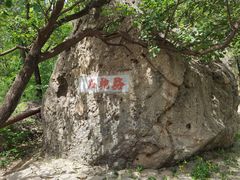 -阳台山自然风景区