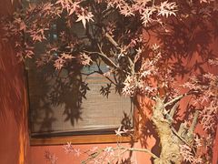 -解家河南菜(金水路店)