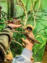 -Zoolung Zoolung动物主题公园(海信广场店)