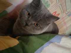 -佳雯宠物医院(四明中路分院)