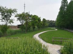 -同里国家湿地公园