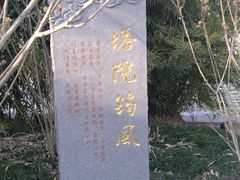-江心屿景区