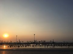 -东港音乐喷泉广场