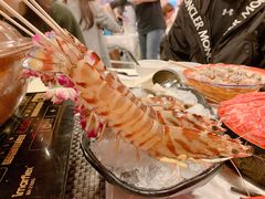 -鲜入围煮花胶鸡海鲜火锅