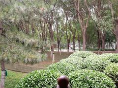 -大兴滨河森林公园