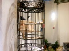 -清真·京华源铜锅涮肉(丰庆店)