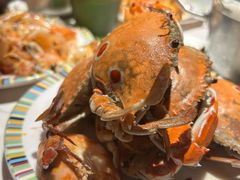 -吉布鲁牛排海鲜自助(成都大悦城店)