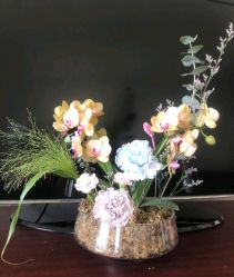 -新寰亚月子会所(金鸡湖凯宾店)
