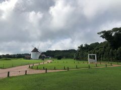-济州森林小火车生态公园