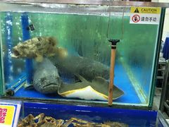 -东江海鲜酒家(艺都分店)