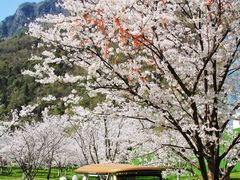 -高岚大峡谷旅游度假区