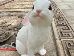 -狼山风景名胜区