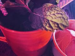 -MOSSO音乐酒吧·live house(长乐路店)