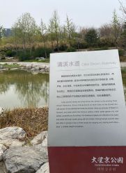 -大望京儿童游乐场