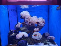 -多彩贵州城极地海洋世界