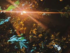 -Osteria Garden 生蚝花园餐厅(原进贤路店)