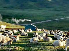 -青海湖国家重点风景名胜区