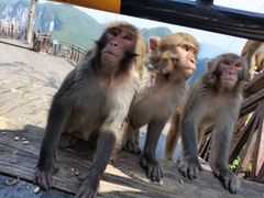 -重庆云阳龙缸景区