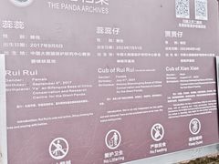 -都江堰中华大熊猫苑