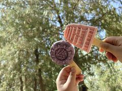 -敦煌莫高窟