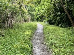 -桤木河湿地公园