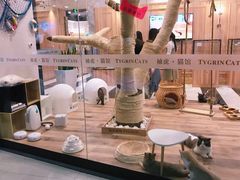 -袖虎·猫馆(体育西路店)