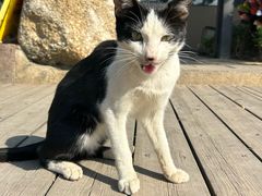 -大笑饭堂(甲子桥店)