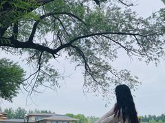 -林栖谷森林康养度假区